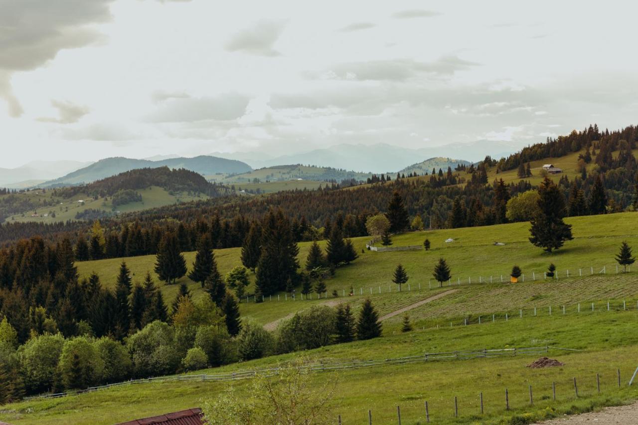 Popasul Transilvania Piatra Fantanele Zewnętrze zdjęcie