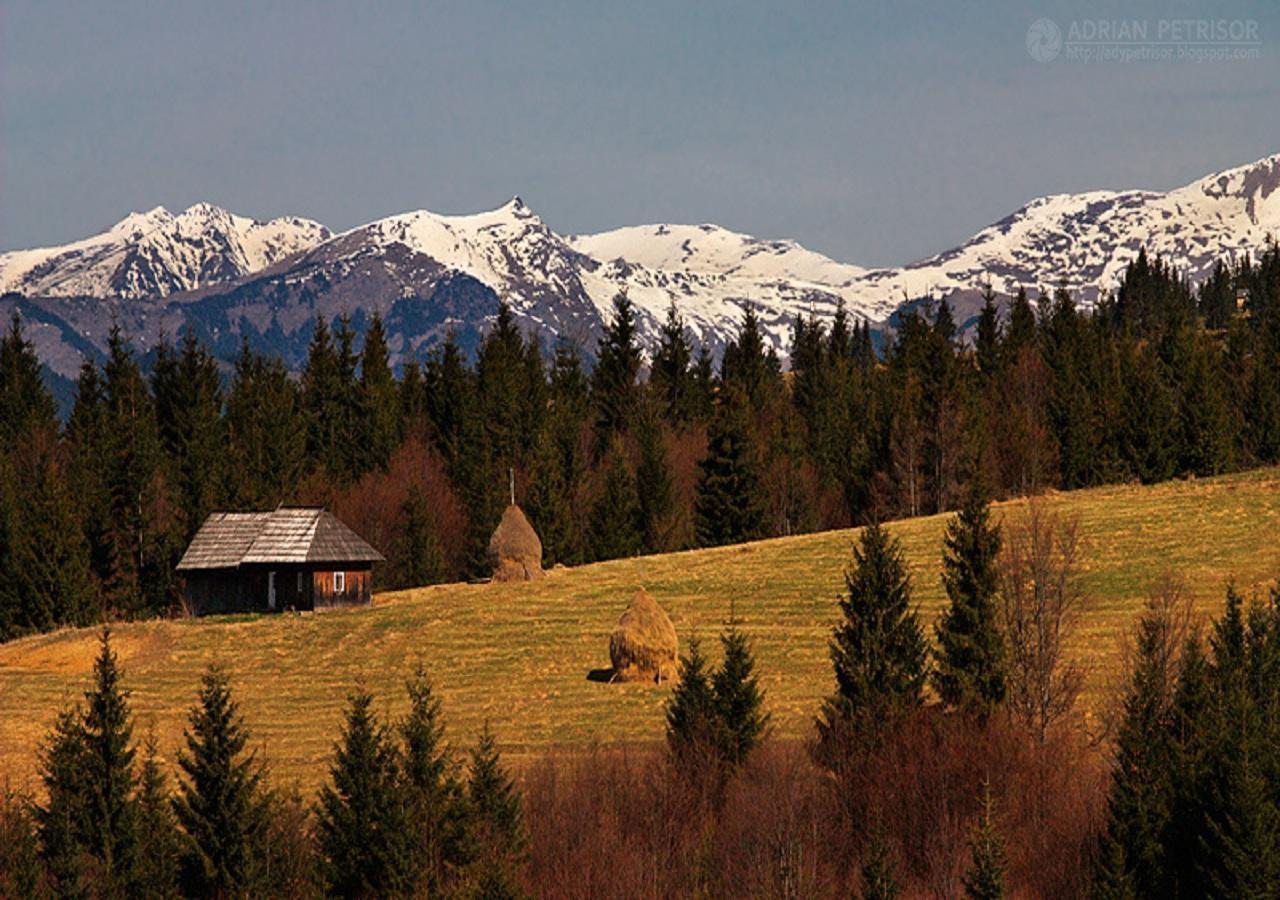 Popasul Transilvania Piatra Fantanele Zewnętrze zdjęcie
