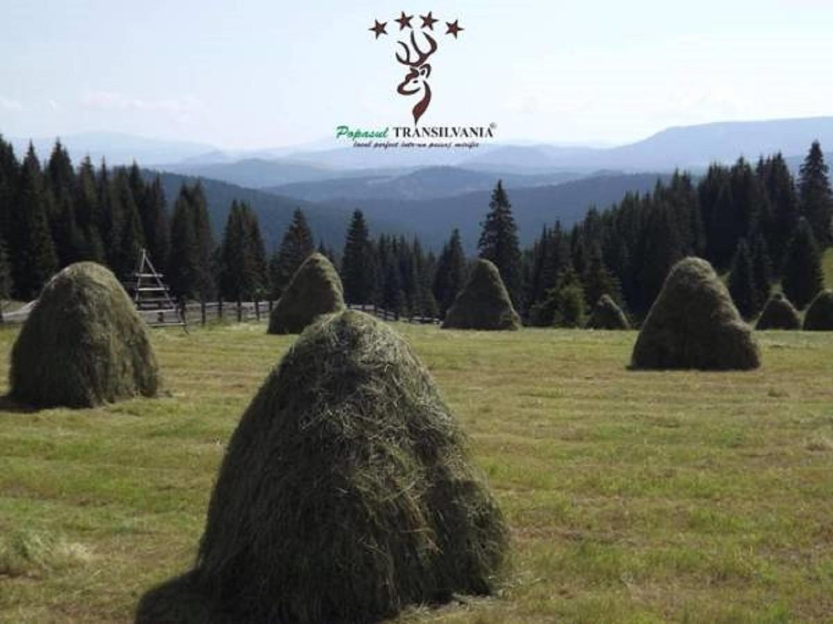 Popasul Transilvania Piatra Fantanele Zewnętrze zdjęcie